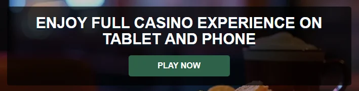 Swiper Casino Play Now